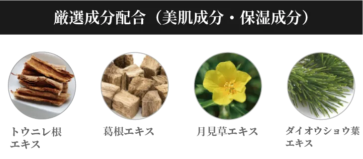 V3エキサイティングファンデーション