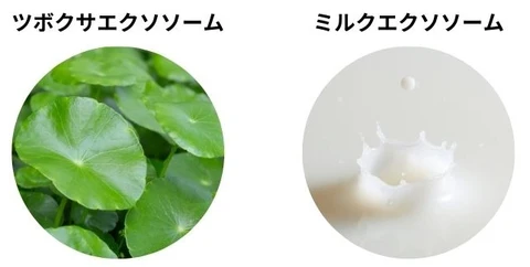 マリンコラーゲン・エクソソーム配合